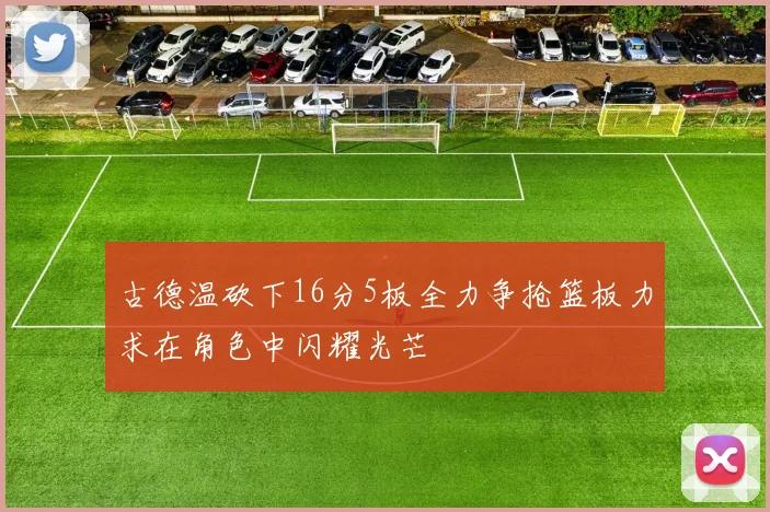 古德温砍下16分5板全力争抢篮板力求在角色中闪耀光芒